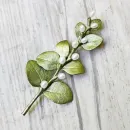 Коллекционная брошь "Ирландский терн" от MICHAEL MICHAUD