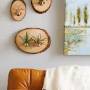 Кашпо настенное