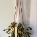 Кашпо настенное