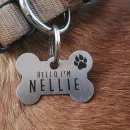 Адресник на ошейник