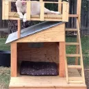 Вольер для собаки