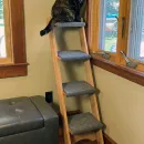 Лесенка для кошки, собаки