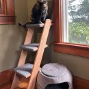 Лесенка для кошки, собаки