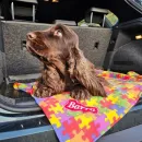 Плед для кошки, собаки