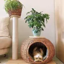 Домик для животных