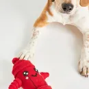 Игрушки для животных