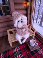 Игрушки на ладошке