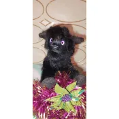 Хижина пушистиков