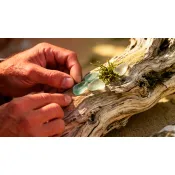 Мастерская Юрия Резникова