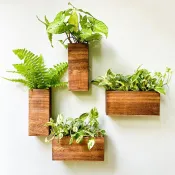 Кашпо для цветов