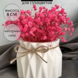 Ваза из гипса для сухоцветов