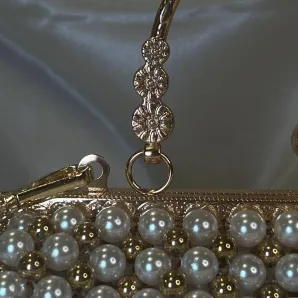 Сумка на Фермуаре