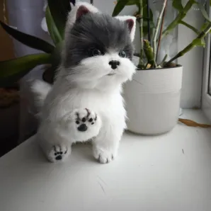 Котенок Гав