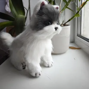 Котенок Гав