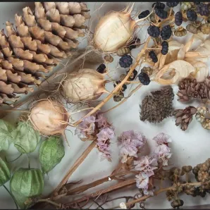 Микс Бокс № 2 Премиальный эко-набор из сухоцветов для хендмейда и декора