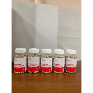 Мухоморы красный, пантерный и королевский