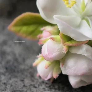 Серьги "Цветущая яблоня" из холодного фарфора