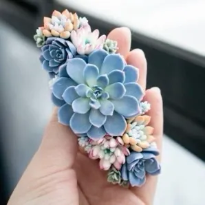 Мыльный цветок