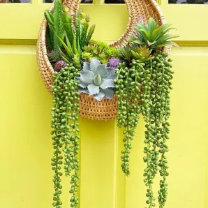 Кашпо настенное