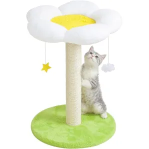 Когтеточки