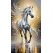 Картина маслом "Величие и блеск" (лошадь)