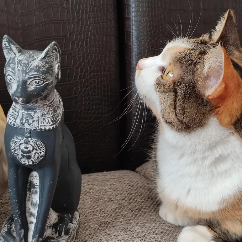 Священный оберег семьи Богиня " Баст" (бастет)