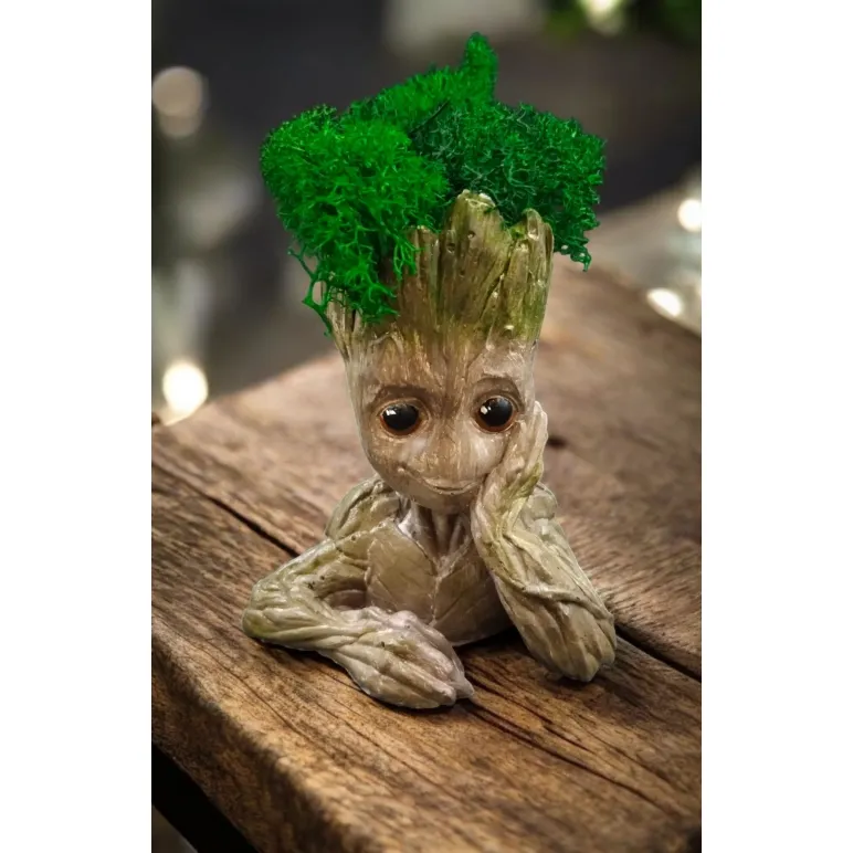 Кашпо "Я есть Грут" со стабилизированным мхом