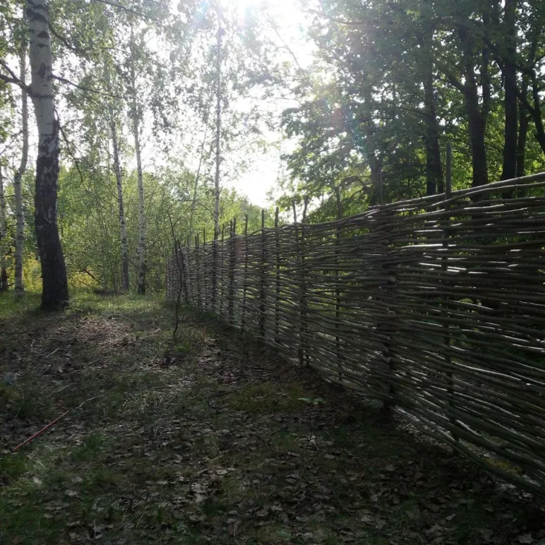 Плетеный заборчик из лозы ивы "Тын"