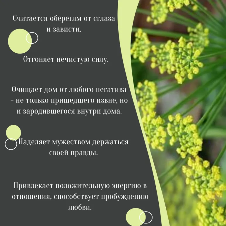 Кулон с лимонным кварцем и фенхелем