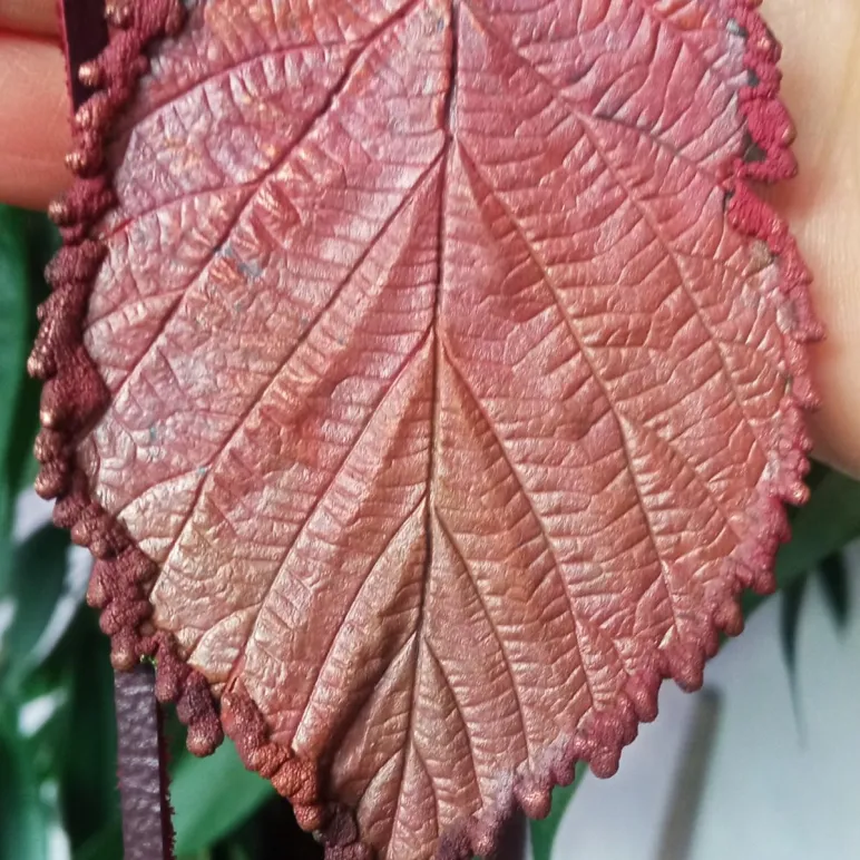 Комплект украшений «Бабье лето»: колье + серёжки