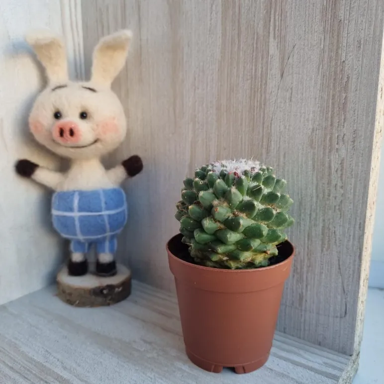 Игрушка ручной работы Пятачок