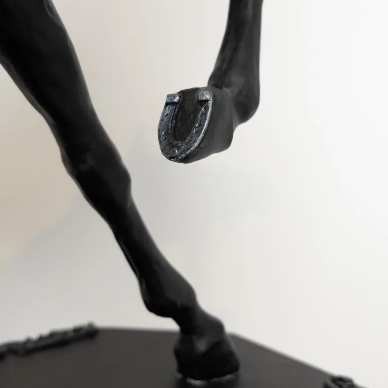 Вороной конь