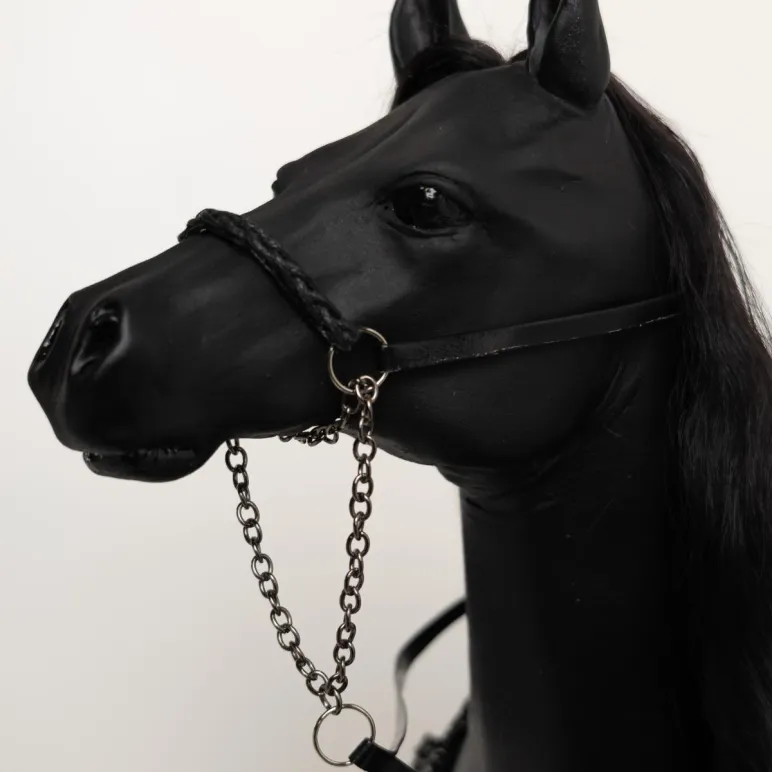 Вороной конь