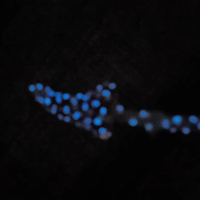 Брошь мухомор