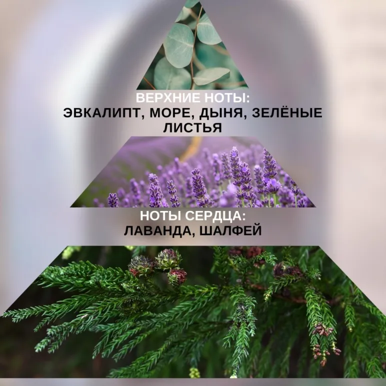 НАБОР, Аромалампа Арка PANED ART для воска и масел, аромат Лаванда Дрифтфуд