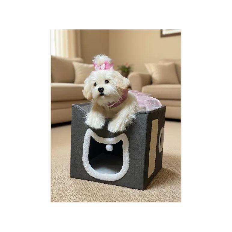 мягкая игрушка: собака Мальтезе