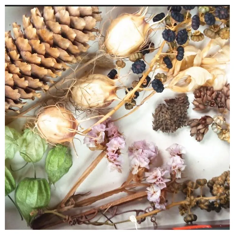 Премиальный эко-набор из сухоцветов для хендмейда и декора. МиксБОКС 2