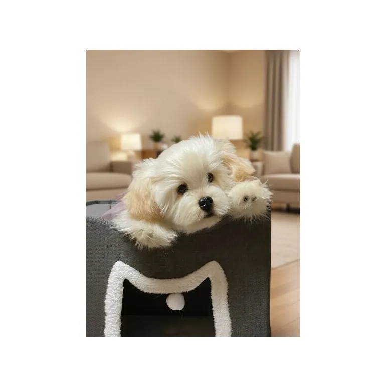 мягкая игрушка: собака Мальтезе
