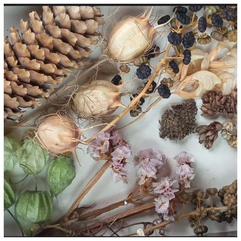 Премиальный эко-набор из сухоцветов для хендмейда и декора. МиксБОКС 2