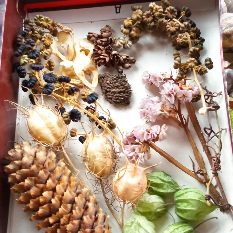 Премиальный эко-набор из сухоцветов для хендмейда и декора. МиксБОКС 2