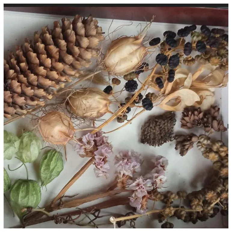 Премиальный эко-набор из сухоцветов для хендмейда и декора. МиксБОКС 2