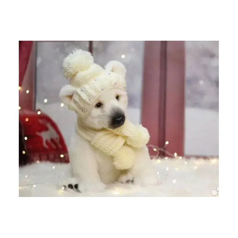 Мягкая игрушка: Белый мишка