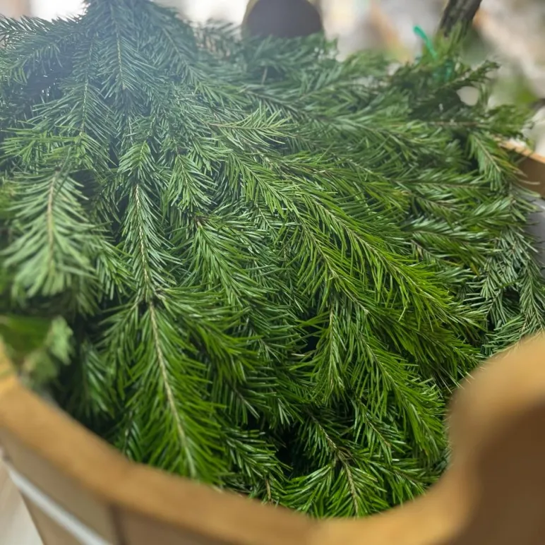 Подушка Пихтовая