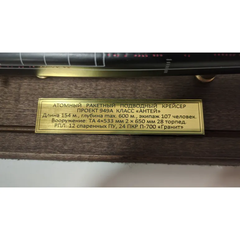 Модель подводной лодки .949А "Антей".
