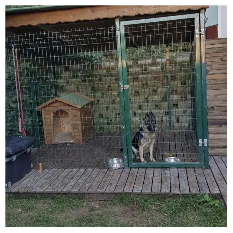 Вольер для собаки