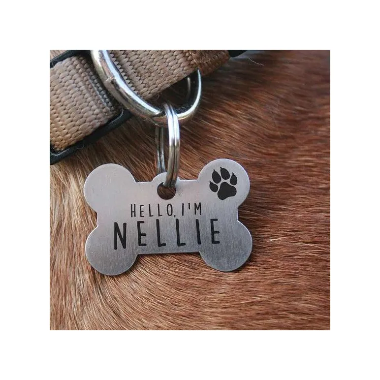 Адресник на ошейник