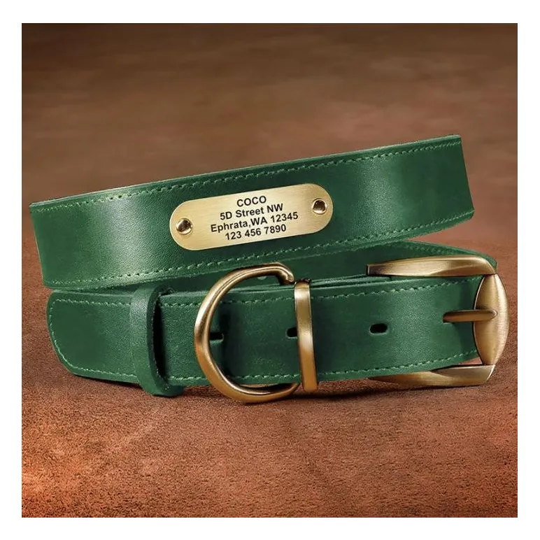 Адресник на ошейник