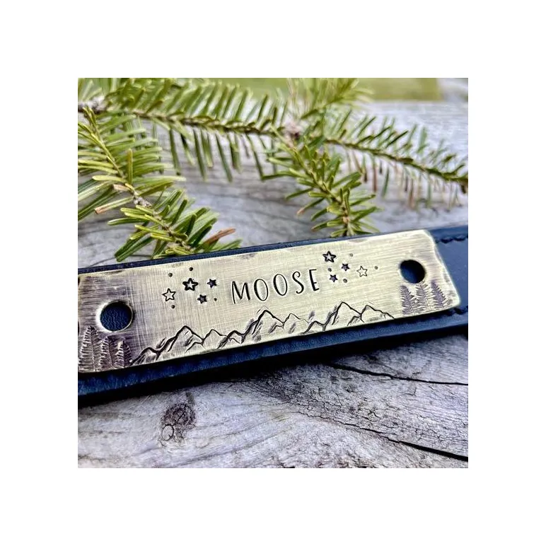 Адресник на ошейник