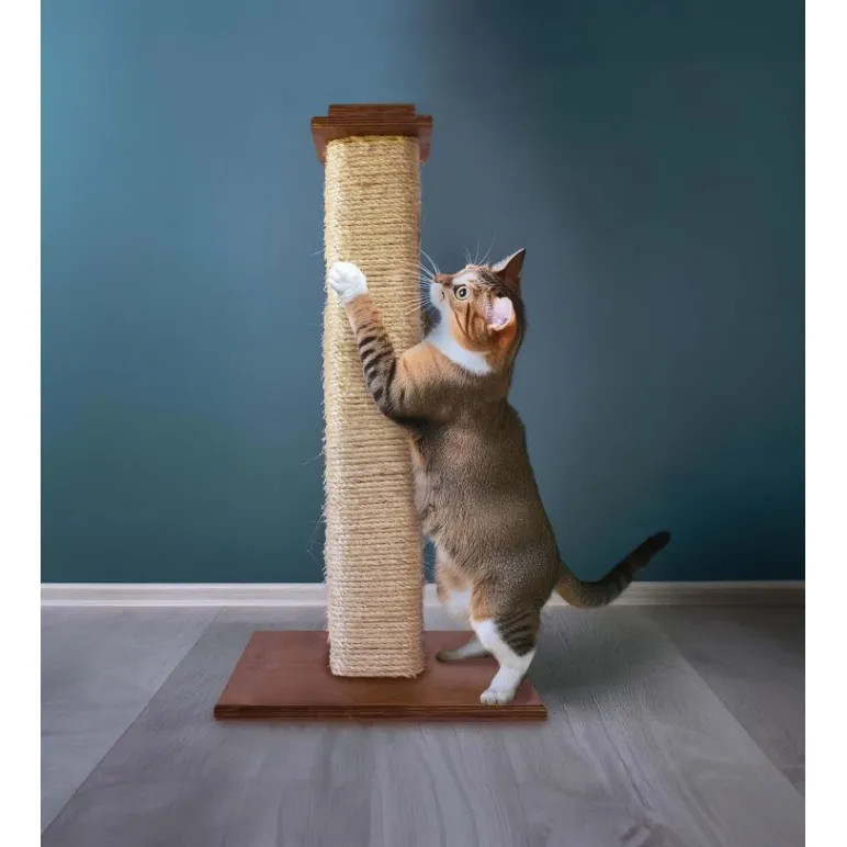 Когтеточки