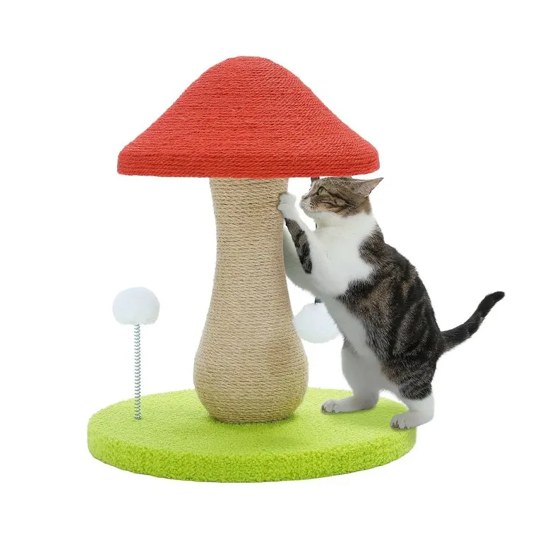 Когтеточки